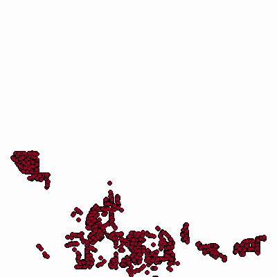 Export Image